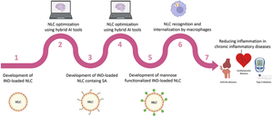 Engineering mannose-functionalized nanostructured lipid carriers by sequential design using hybrid artificial intelligence tools.