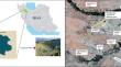 Leaching properties of zinc from hazardous zinc leach residues under simulated environmental conditions