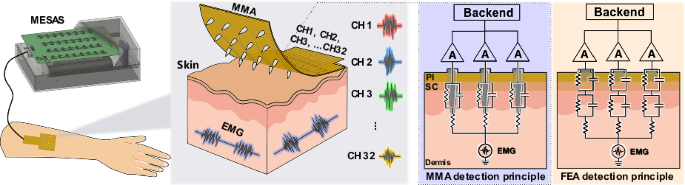 Multichannel microneedle dry electrode patches for minimally invasive transdermal recording of electrophysiological signals