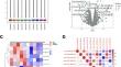 miR-206-3p Targets Brain-Derived Neurotrophic Factor and Affects Postoperative Cognitive Function in Aged Mice.