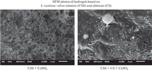 The Self-Organization and Gelation Processes in a Cysteine–Silver Solution Containing Chitosan and an Electrolyte