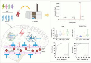 Unlocking the potential of the 3-hydroxykynurenine/kynurenic acid ratio: a promising biomarker in adolescent major depressive disorder.