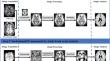 Reduced functional connectivity induced by longitudinal alterations of structure and perfusion may be associated with cognitive impairment in patients on maintenance hemodialysis.