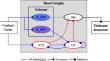 Break-up and recovery of harmony between direct and indirect pathways in the basal ganglia: Huntington’s disease and treatment