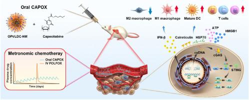 Immune modulation of the liver metastatic colorectal cancer microenvironment via the oral CAPOX-mediated cGAS-STING pathway