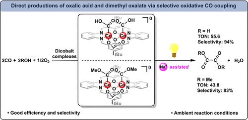 Redox-Inactive Cation Assisted Direct Productions of Oxalic Acid and Dimethyl Oxalate via Oxidative CO Coupling Catalyzed by Coplanar Dicobalt Complexes