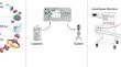 A novel, cassette-based nitric oxide delivery system with an advanced feedback control algorithm accurately delivers nitric oxide via the anesthesia machine independent of fresh gas flow rate and volatile anesthetic agent.