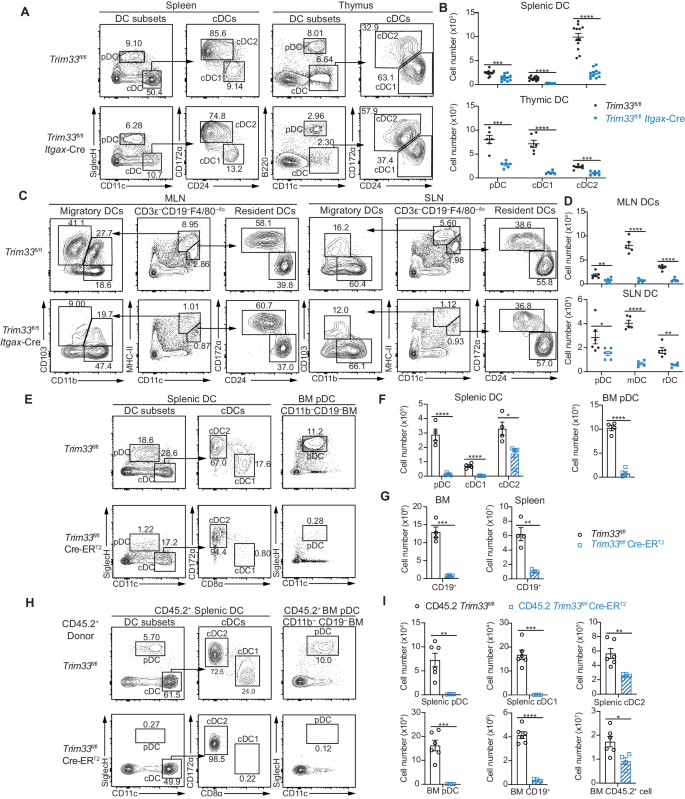 TRIM33 plays a critical role in regulating dendritic cell differentiation and homeostasis by modulating Irf8 and Bcl2l11 transcription