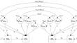 Prospective Effects of Self-Rated Health on Dementia Risk in Two Twin Studies of Aging.