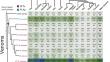 Red-on-Yellow Queen: Bio-Layer Interferometry Reveals Functional Diversity Within Micrurus Venoms and Toxin Resistance in Prey Species.