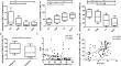 CCR2+TREM-1+ monocytes promote natural killer T cell dysfunction contributing towards HBV disease progression.