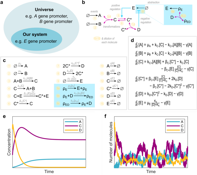 The art of modeling gene regulatory circuits.