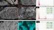 Arginine-Polyaniline Embedded Jujube Shells Composite for Outstanding Cr(VI) Detoxification from aqueous solution