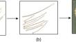 Hydro-mechanical performance of lime-treated heavy clay incorporating Athel leaves powder