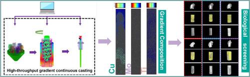 Development and characterization of ZnxCuyTizMo alloys for biomedical applications: A high-throughput gradient continuous casting approach