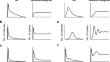 Noise or signal? Spontaneous activity of dorsal horn neurons: patterns and function in health and disease.