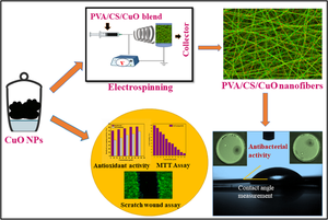 Synthesis of electrospun PVA/chitosan nanofibrous scaffold impregnated with CuO nanoparticles for wound healing