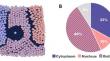 Bioinformatics Analysis of Actin Interactome: Characterization of the Nuclear and Cytoplasmic Actin-Binding Proteins.