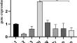 Can Methamphetamine-Induced Cardiotoxicity be Ameliorated by Aerobic Training and Nutrition Bio-shield Superfood Supplementation in Rats After Withdrawal?