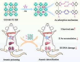 Customizable Zr-MOF nanoantidote-based multieffective arsenic detoxification and its extended low-toxic therapy