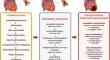 Therapeutic peptides for coronary artery diseases: in silico methods and current perspectives.