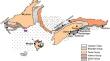 Extent of Thin Surfacial Fracture Detection Using Geophysical Survey: A Case Study of Parwan Gravity Dam, Jhalawar, Rajasthan, India