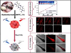 Smartphone-based sensing and in vivo and in vitro imaging of Mn(vii) based on nitrogen-doped red fluorescent carbon dots†