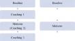 Adaptation of COMPASS for use in Autism-Specific Schools in Australia: A Cluster Randomized Trial.