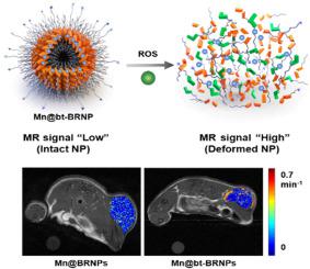 Noninvasive ROS imaging and drug delivery monitoring in the tumor microenvironment