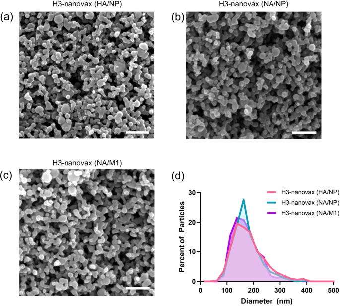 Polyanhydride nanovaccine against H3N2 influenza A virus generates mucosal resident and systemic immunity promoting protection.