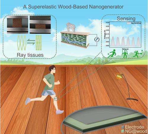 Superelastic wood-based nanogenerators magnifying the piezoelectric effect for sustainable energy conversion