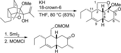 Approach to the Core Structure of Signermycin B