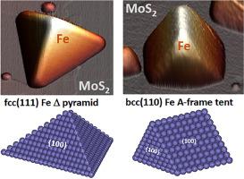 Crystal structure and shape selection in the growth of 3D metallic crystallites on layered materials: Fe on MoS2