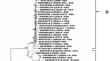 The nearly complete genome sequence of clade B, wheat streak mosaic virus isolate from Türkiye