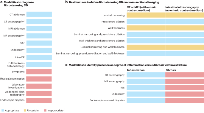 A global consensus on the definitions, diagnosis and management of fibrostenosing small bowel Crohn’s disease in clinical practice