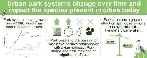 Historical park planning is associated with modern-day patterns of bird diversity in cities