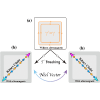 Realizing tunable higher-order topological superconductors with altermagnets