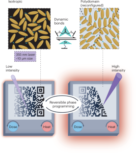 Etch A Sketch-like liquid-crystal phase patterning