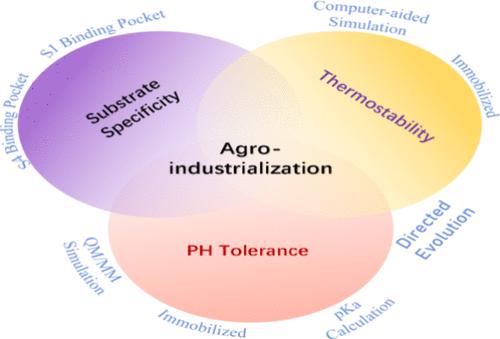 Perspective on Agricultural Industrialization: Modification Strategies for Enhancing the Catalytic Capacity of Keratinase