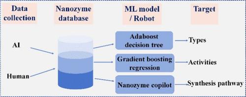 ChatGPT Combining Machine Learning for the Prediction of Nanozyme Catalytic Types and Activities.