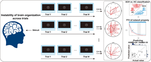 Abnormal trial-to-trial variability in P300 time-varying directed eeg network of schizophrenia.