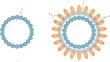 Recombinant VLP Vaccines Synthesized in Plant Expression Systems: Current Updates and Prospects