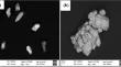 Influence of friction stir processing on microstructure and mechanical properties of AA6061 reinforced with Zr and Ni metallic particles