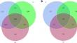 Analysis of microbial community composition and diversity in the rhizosphere of Salvia miltiorrhiza at different growth stages.