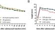 Removal of GIT lesions and the role of impedance of the injection solution-an innovative approach to known methods.