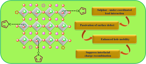 What Should be Considered While Designing Hole-Transporting Material for Perovskite Solar Cells? A Special Attention to Thiophene-Based Hole-Transporting Materials