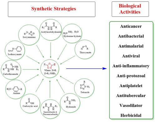 Substrate-based synthetic strategies and biological activities of 1,3,4-oxadiazole: A review