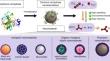 Carbon dioxide sequestration with carbonic anhydrase nanobiocatalysts: a review