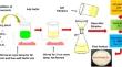 Synthesis, Characterization, Photocatalytic and Antimicrobial Potential of Pr2O3/ZnO/gC3N4 Nanocomposite