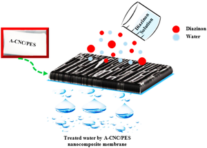 Diazinon removal from aqueous solution via grape branch-derived cellulose nanocrystals/polyethersulfone nanocomposite membrane: performance, characterization, and modeling